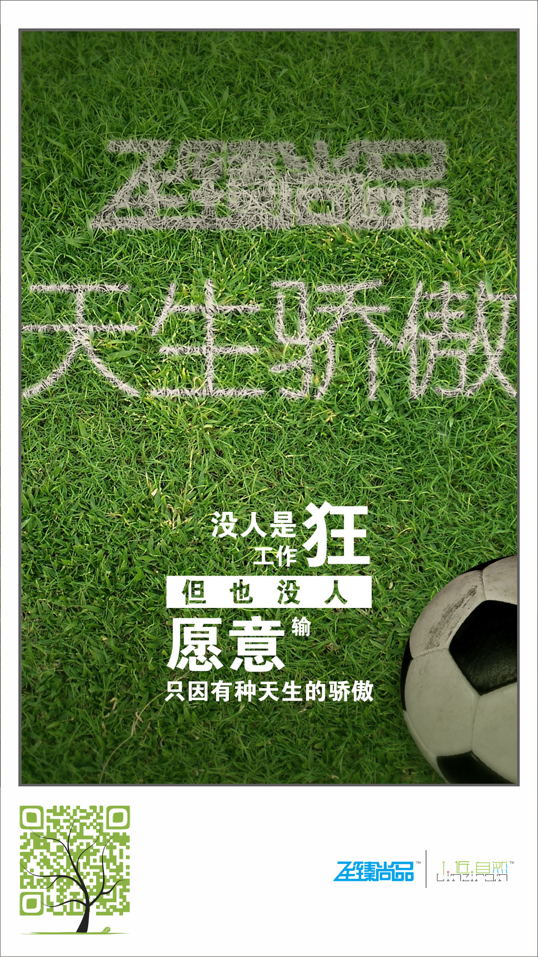 至臻尚品天生骄傲
